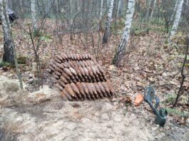 Saperzy z Kielc zabezpieczyli mały arsenał – ponad 500 przedmiotów z IIWŚ pociski w lesie