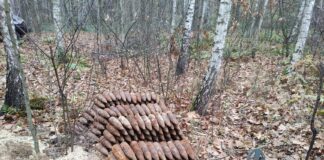 Saperzy z Kielc zabezpieczyli mały arsenał – ponad 500 przedmiotów z IIWŚ pociski w lesie