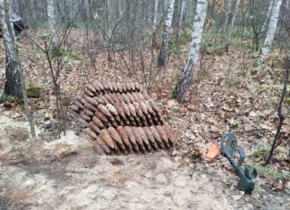 Saperzy z Kielc zabezpieczyli mały arsenał – ponad 500 przedmiotów z IIWŚ pociski w lesie