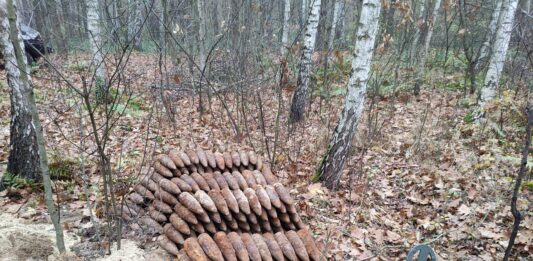 Saperzy z Kielc zabezpieczyli mały arsenał – ponad 500 przedmiotów z IIWŚ pociski w lesie