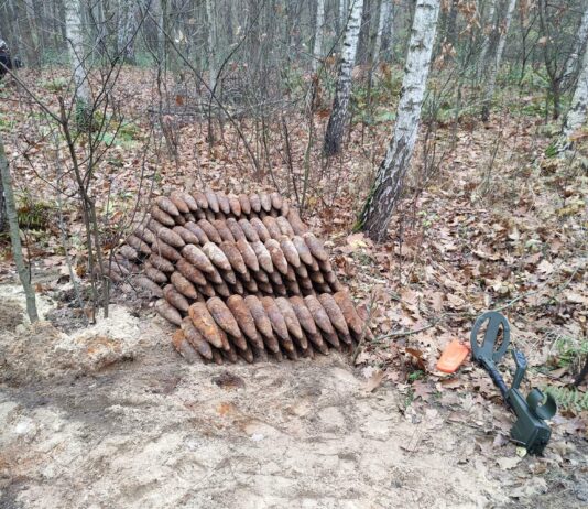 Saperzy z Kielc zabezpieczyli mały arsenał – ponad 500 przedmiotów z IIWŚ pociski w lesie