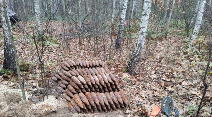 Saperzy z Kielc zabezpieczyli mały arsenał – ponad 500 przedmiotów z IIWŚ pociski w lesie