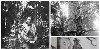 Filimon Waszkiewicz – ostatni bartnik białowieski! (GALERIA) Filimon Waszkiewicz - ostatni bartnik białowieski