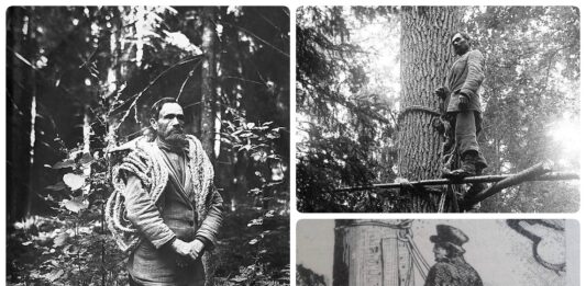 Filimon Waszkiewicz – ostatni bartnik białowieski! (GALERIA) Filimon Waszkiewicz - ostatni bartnik białowieski