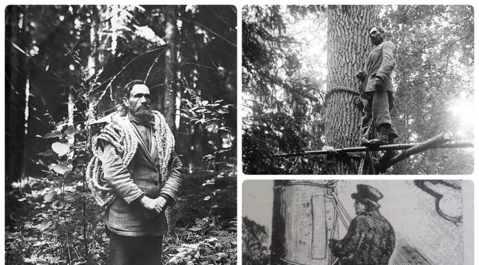 Filimon Waszkiewicz – ostatni bartnik białowieski! (GALERIA) Filimon Waszkiewicz - ostatni bartnik białowieski