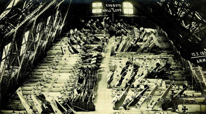 Zdobyte w Powstaniu Wielkopolskim samoloty – największy łup w dziejach Polski Zdobyte w Powstaniu Wielkopolskim niemieckie samoloty umieszczone w hangarze sterowców Zeppelin na Winiarach