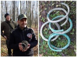 Podkarpackie. Poszukiwacz odkrył imponujący skarb ukryty 2500 lat temu! (GALERIA) Depozyt sprzed kilku tysięcy lat...