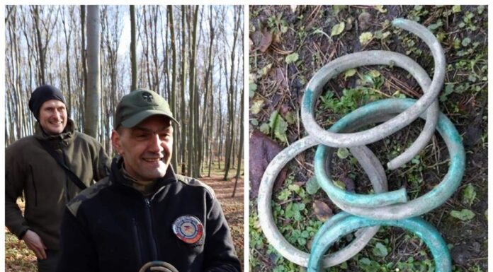 Podkarpackie. Poszukiwacz odkrył imponujący skarb ukryty 2500 lat temu! (GALERIA) Depozyt sprzed kilku tysięcy lat...