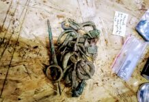 Starożytne cmentarzysko pod Czemiernikami odkryte przez poszukiwacza (GALERIA)