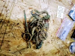 Starożytne cmentarzysko pod Czemiernikami odkryte przez poszukiwacza (GALERIA)