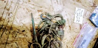 Starożytne cmentarzysko pod Czemiernikami odkryte przez poszukiwacza (GALERIA)