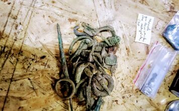 Starożytne cmentarzysko pod Czemiernikami odkryte przez poszukiwacza (GALERIA)