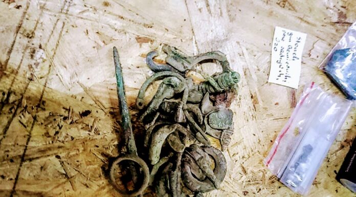 Starożytne cmentarzysko pod Czemiernikami odkryte przez poszukiwacza (GALERIA)