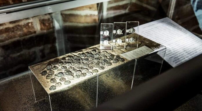 Kolejna część skarbu rzymskich denarów z Półwsi została odnaleziona! skarb z Półwsi