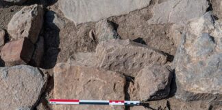 Kamienną planszę do gry sprzed 4 tys. lat odkryli Polacy w Omanie Kamienna plansza do gry