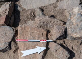 Kamienną planszę do gry sprzed 4 tys. lat odkryli Polacy w Omanie Kamienna plansza do gry