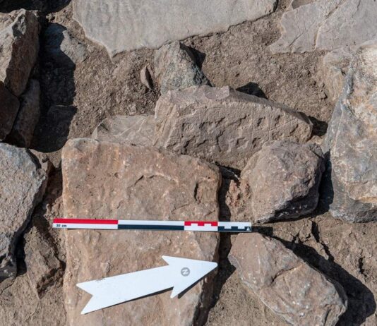 Kamienną planszę do gry sprzed 4 tys. lat odkryli Polacy w Omanie Kamienna plansza do gry