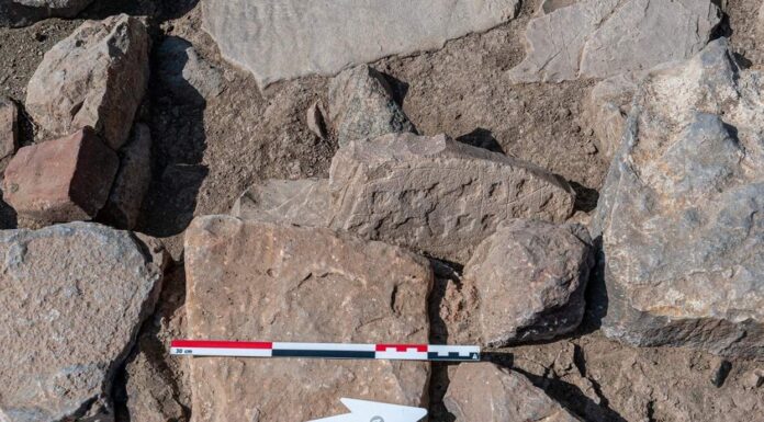 Kamienną planszę do gry sprzed 4 tys. lat odkryli Polacy w Omanie Kamienna plansza do gry