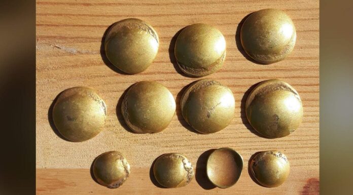 Celtyckie złote monety sprzed 2 tys. lat odkryte w Niemczech Pierwszych 11 monet odkryto w Brandenburgii w Niemczech fot. W. Herkt