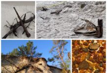 Stanowisko CKM, Mauser, szalupa i inne odkrycia po wichurach na Helu! (GALERIA) odkrycia na Helu