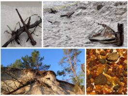 Stanowisko CKM, Mauser, szalupa i inne odkrycia po wichurach na Helu! (GALERIA) odkrycia na Helu