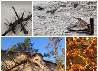 Stanowisko CKM, Mauser, szalupa i inne odkrycia po wichurach na Helu! (GALERIA) odkrycia na Helu