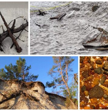 Stanowisko CKM, Mauser, szalupa i inne odkrycia po wichurach na Helu! (GALERIA) odkrycia na Helu