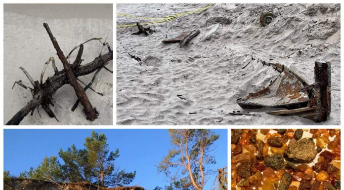 Stanowisko CKM, Mauser, szalupa i inne odkrycia po wichurach na Helu! (GALERIA) odkrycia na Helu