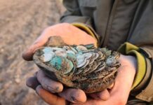 Wybrany najcenniejszym – skarb z Zawichostu-Trójcy! Świetny wywiad o kulisach odkrycia i galeria!