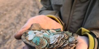 Wybrany najcenniejszym – skarb z Zawichostu-Trójcy! Świetny wywiad o kulisach odkrycia i galeria!