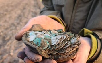 Wybrany najcenniejszym – skarb z Zawichostu-Trójcy! Świetny wywiad o kulisach odkrycia i galeria!