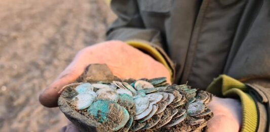 Wybrany najcenniejszym – skarb z Zawichostu-Trójcy! Świetny wywiad o kulisach odkrycia i galeria!