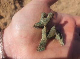 Pomorskie. Unikatowa zapinka w kształcie byka, sprzed prawie 2 tys. lat!