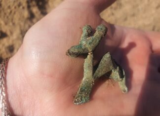 Pomorskie. Unikatowa zapinka w kształcie byka, sprzed prawie 2 tys. lat!