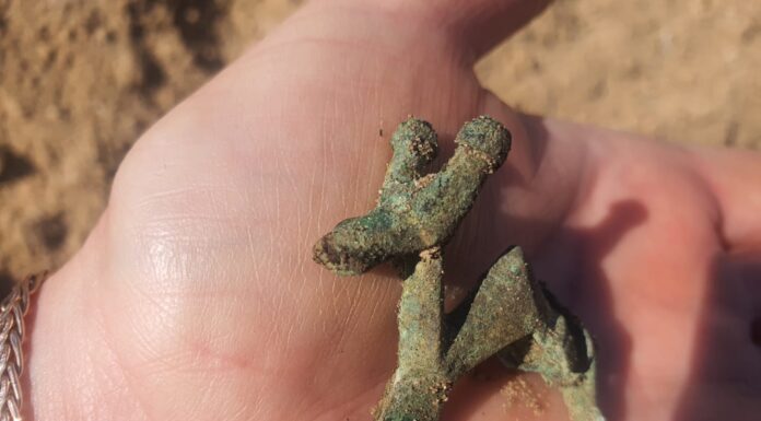 Pomorskie. Unikatowa zapinka w kształcie byka, sprzed prawie 2 tys. lat!