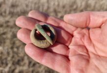 Sprzączka z początków naszej ery odkryta pod Sandomierzem! (GALERIA)