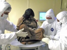 To ayahuaską i koką były „znieczulane” dzieci składane w ofiarach przez Inków! badanie dzieci ofiar Inków