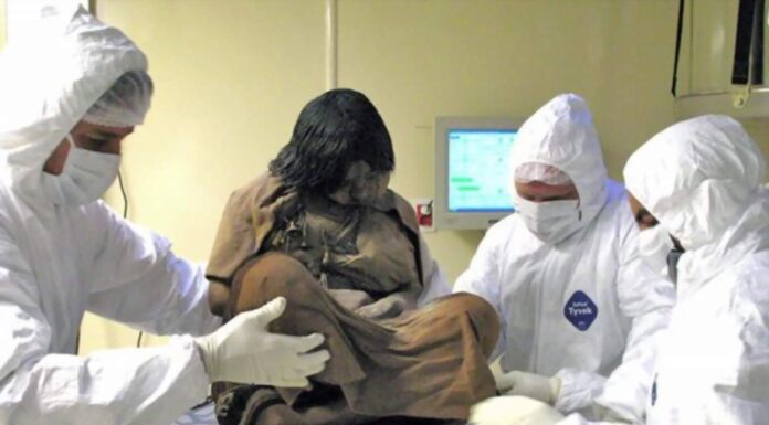 To ayahuaską i koką były „znieczulane” dzieci składane w ofiarach przez Inków! badanie dzieci ofiar Inków