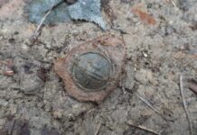 Po 78 latach odnaleźli szczątki żołnierza czechosłowackiego – trafił na cmentarz!