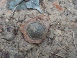 Po 78 latach odnaleźli szczątki żołnierza czechosłowackiego – trafił na cmentarz!