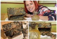 Skarb z epoki wiktoriańskiej odkryty przypadkiem na angielskiej plaży! (GALERIA) Skarb monet i kosztowności w skrzyni