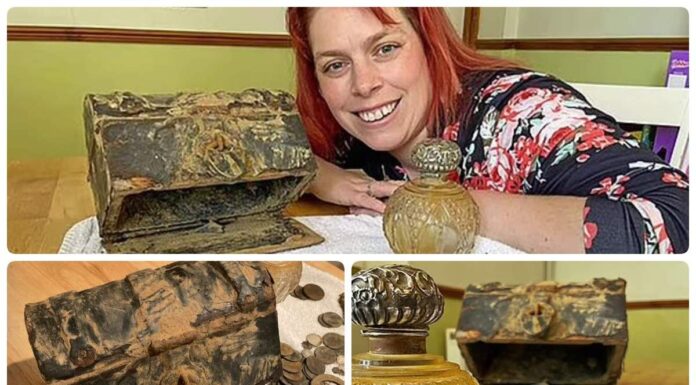 Skarb z epoki wiktoriańskiej odkryty przypadkiem na angielskiej plaży! (GALERIA) Skarb monet i kosztowności w skrzyni