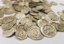 Skarb średniowiecznych monet znaleziony przez „psa” na spacerze… (GALERIA +FILM) Skarb srebrnych monet odkryty w okolicy Wałbrzycha