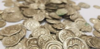 Skarb średniowiecznych monet znaleziony przez „psa” na spacerze… (GALERIA +FILM) Skarb srebrnych monet odkryty w okolicy Wałbrzycha