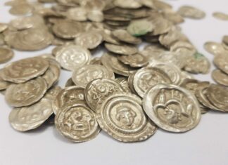 Skarb średniowiecznych monet znaleziony przez „psa” na spacerze… (GALERIA +FILM) Skarb srebrnych monet odkryty w okolicy Wałbrzycha