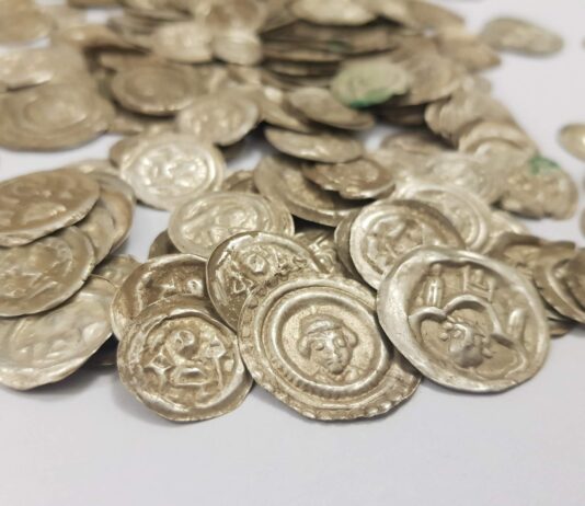 Skarb średniowiecznych monet znaleziony przez „psa” na spacerze… (GALERIA +FILM) Skarb srebrnych monet odkryty w okolicy Wałbrzycha