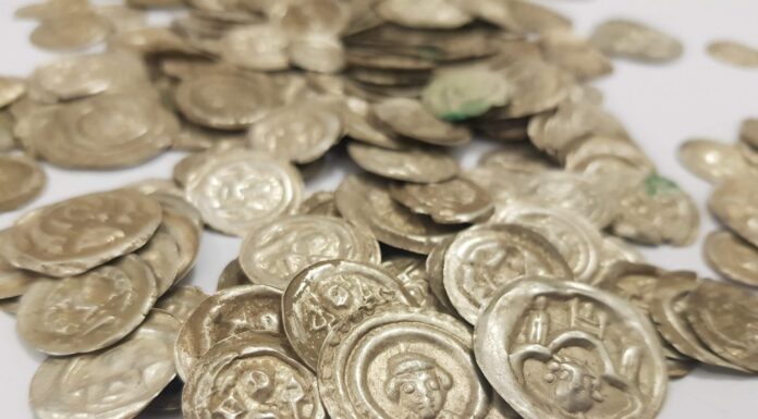 Skarb średniowiecznych monet znaleziony przez „psa” na spacerze… (GALERIA +FILM) Skarb srebrnych monet odkryty w okolicy Wałbrzycha