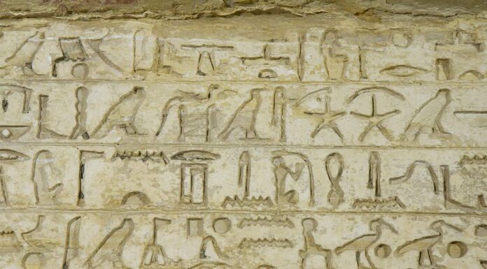 Zajmował się tajnymi dokumentami faraona – wyjątkowy grób odkryty w Egipcie Inskrypcja z grobowca Merefnebef