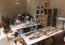 Polscy naukowcy badali w Gruzji szczątki ofiar tzw. Wielkiego Terroru z lat 1937-38 Naukowcy badają szczątki ofiar tzw. Wielkiego Terroru