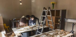 Polscy naukowcy badali w Gruzji szczątki ofiar tzw. Wielkiego Terroru z lat 1937-38 Naukowcy badają szczątki ofiar tzw. Wielkiego Terroru